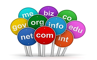 Domain Registration Provider
